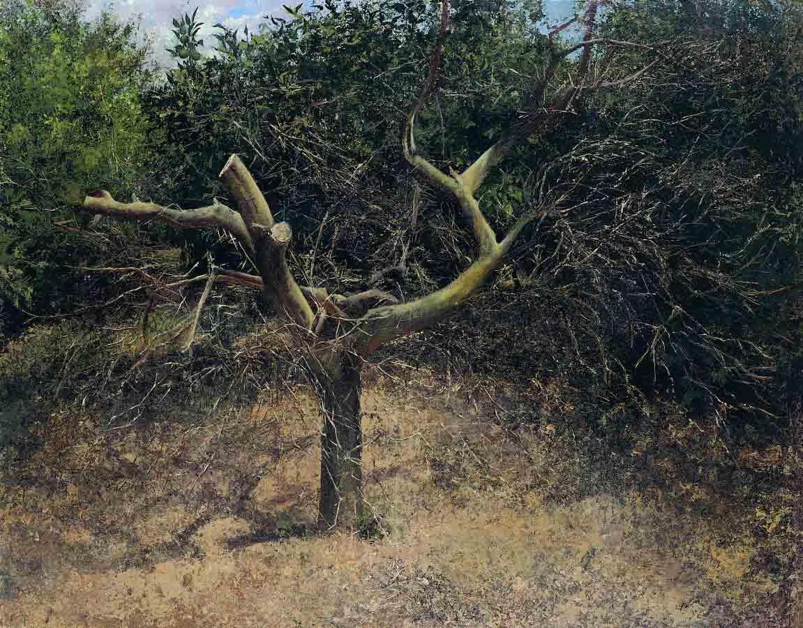 Memniso – to remember