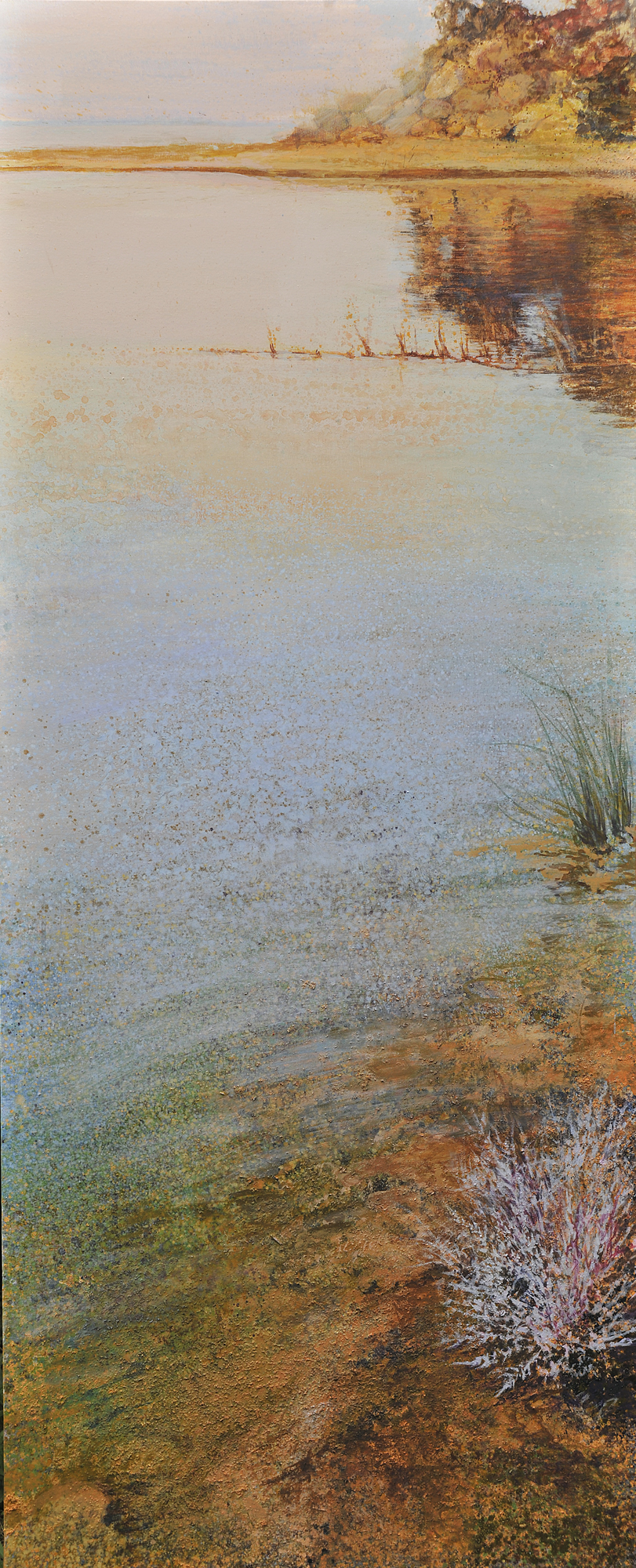 Christoforos Reflection